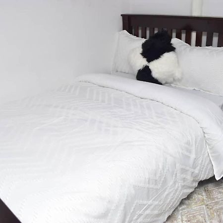Lost & Found Zanzibar المظهر الخارجي الصورة